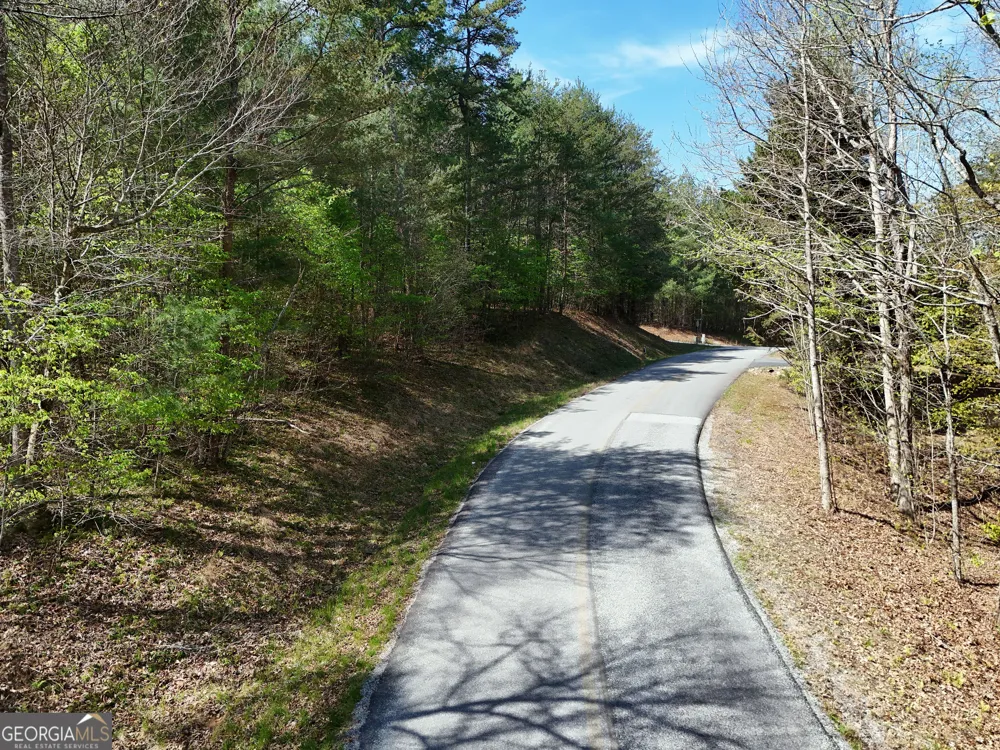 LOT 40 Ivy Meadow LN Blairsville, GA 30512