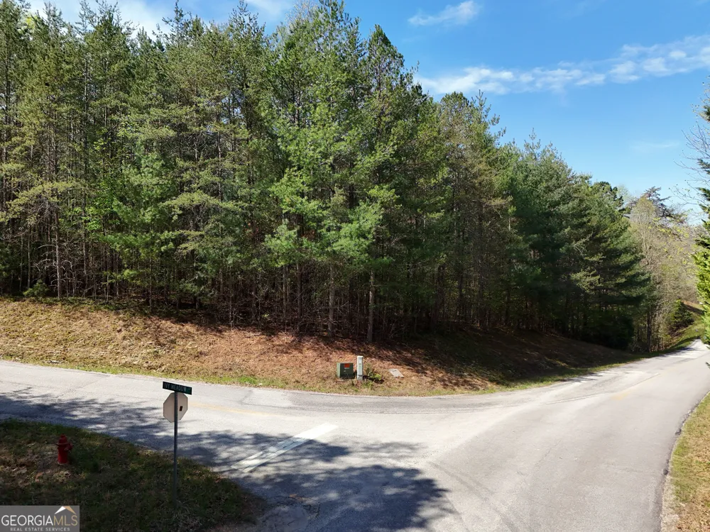 LOT 40 Ivy Meadow LN Blairsville, GA 30512