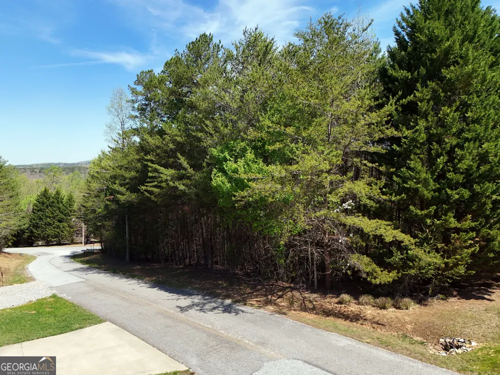 LOT 40 Ivy Meadow LN Blairsville, GA 30512