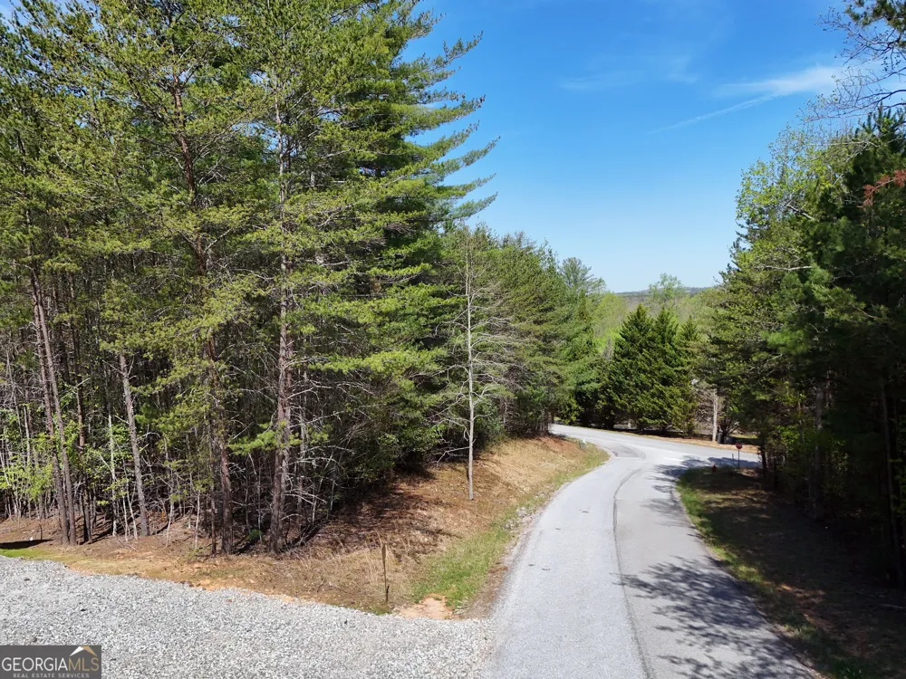 LOT 40 Ivy Meadow LN Blairsville, GA 30512