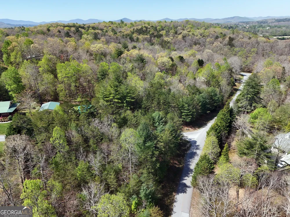 LOT 40 Ivy Meadow LN Blairsville, GA 30512