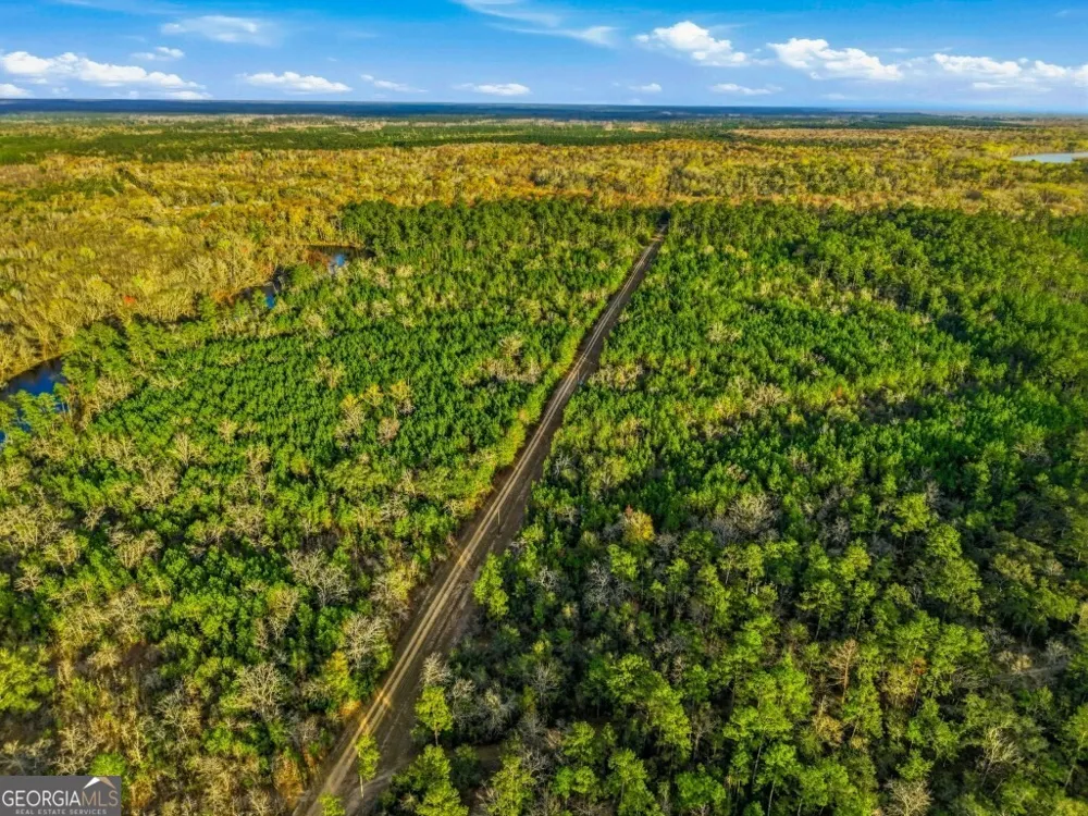 0 Rivers Edge Rd/Hwy 178 Reidsville, GA 30453