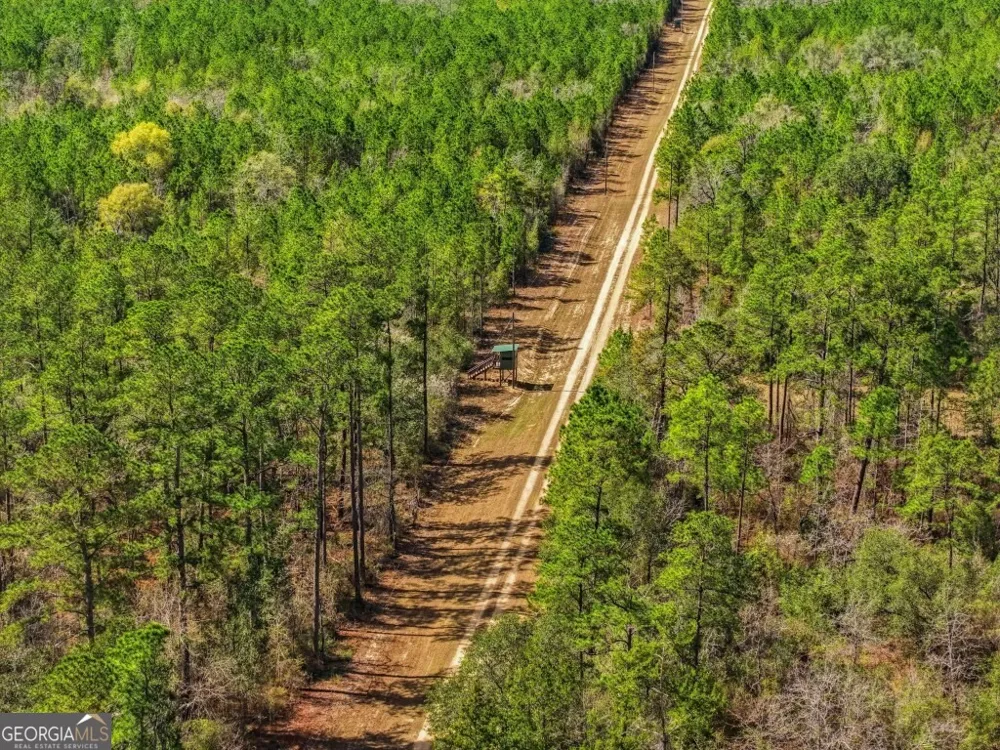 0 Rivers Edge Rd/Hwy 178 Reidsville, GA 30453