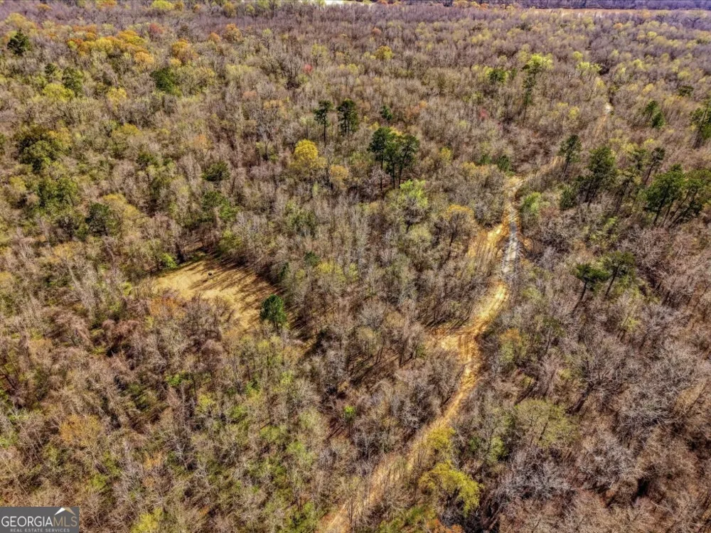 0 Rivers Edge Rd/Hwy 178 Reidsville, GA 30453
