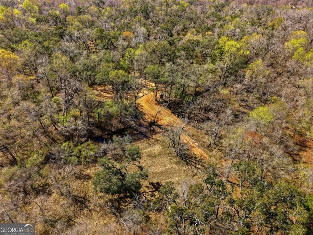0 Rivers Edge Rd/Hwy 178 Reidsville, GA 30453