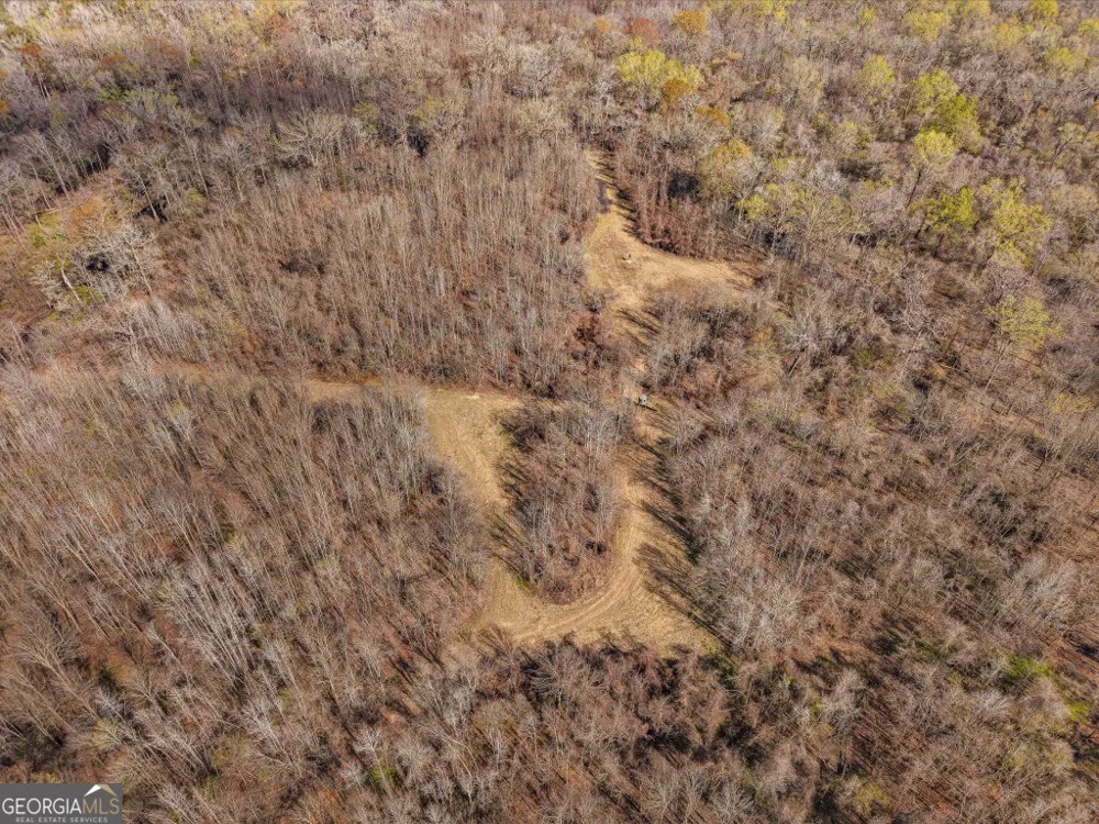 0 Rivers Edge Rd/Hwy 178 Reidsville, GA 30453