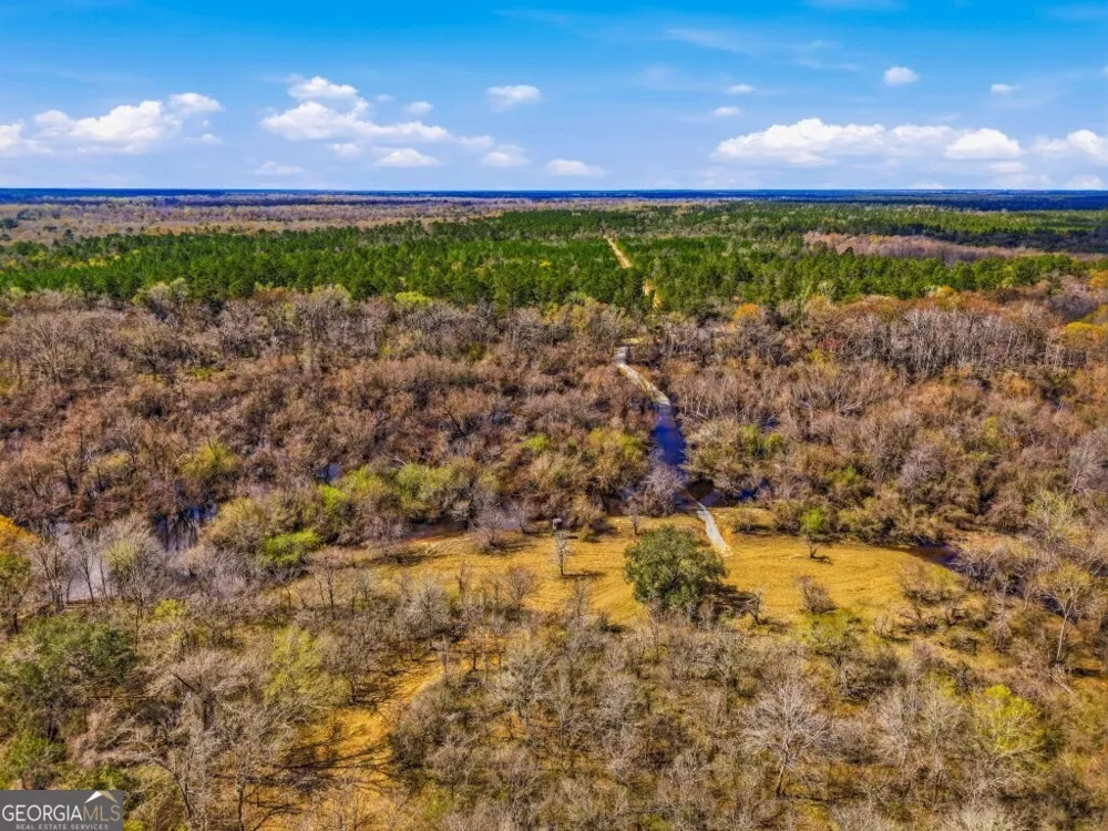 0 Rivers Edge Rd/Hwy 178 Reidsville, GA 30453