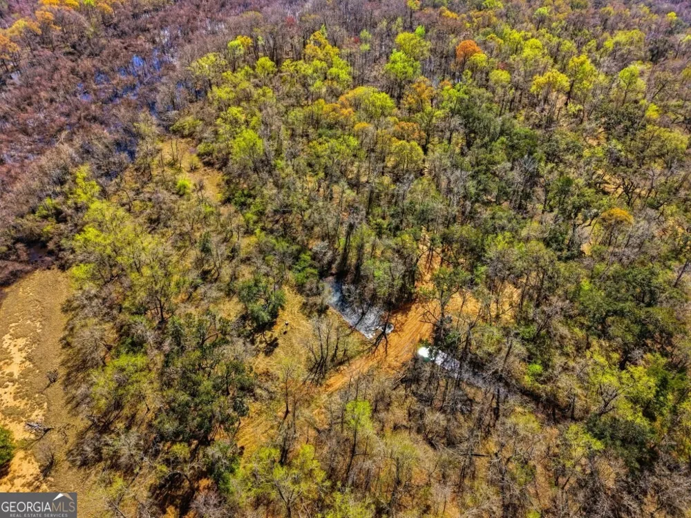 0 Rivers Edge Rd/Hwy 178 Reidsville, GA 30453