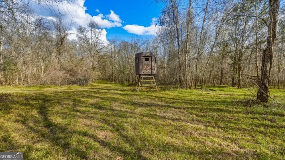 0 Rivers Edge Rd/Hwy 178 Reidsville, GA 30453