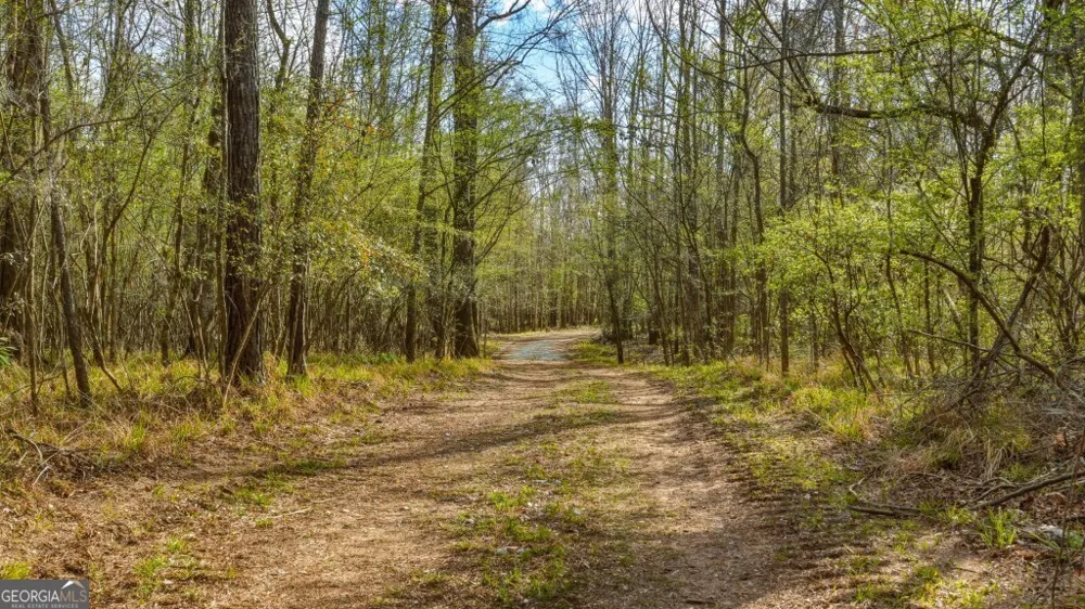 0 Rivers Edge Rd/Hwy 178 Reidsville, GA 30453
