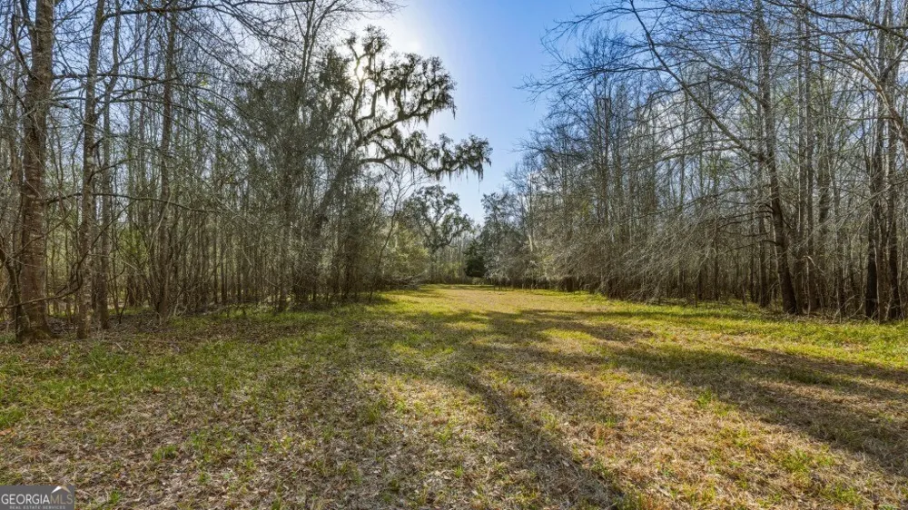0 Rivers Edge Rd/Hwy 178 Reidsville, GA 30453