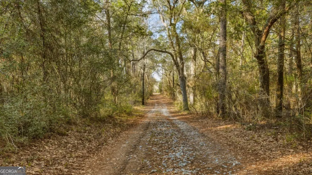 0 Rivers Edge Rd/Hwy 178 Reidsville, GA 30453