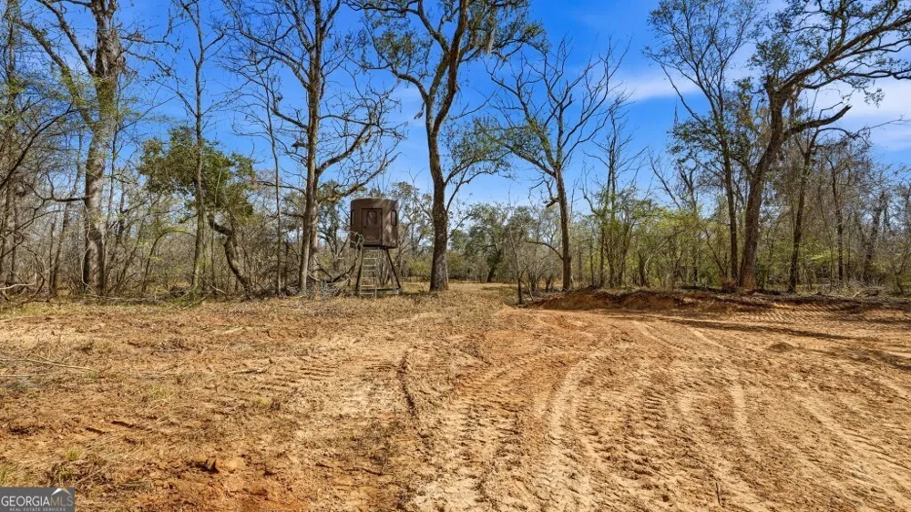 0 Rivers Edge Rd/Hwy 178 Reidsville, GA 30453