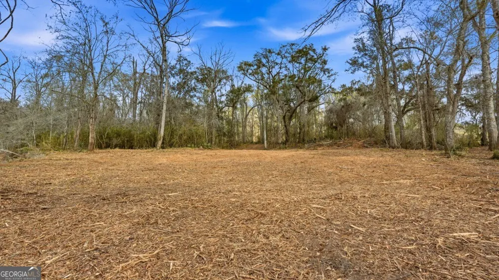0 Rivers Edge Rd/Hwy 178 Reidsville, GA 30453