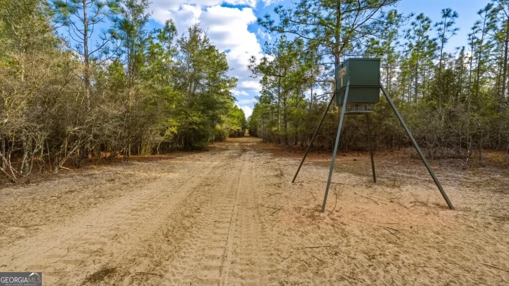 0 Rivers Edge Rd/Hwy 178 Reidsville, GA 30453