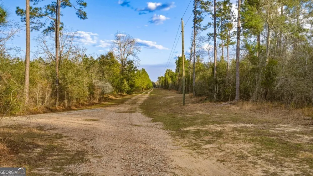 0 Rivers Edge Rd/Hwy 178 Reidsville, GA 30453