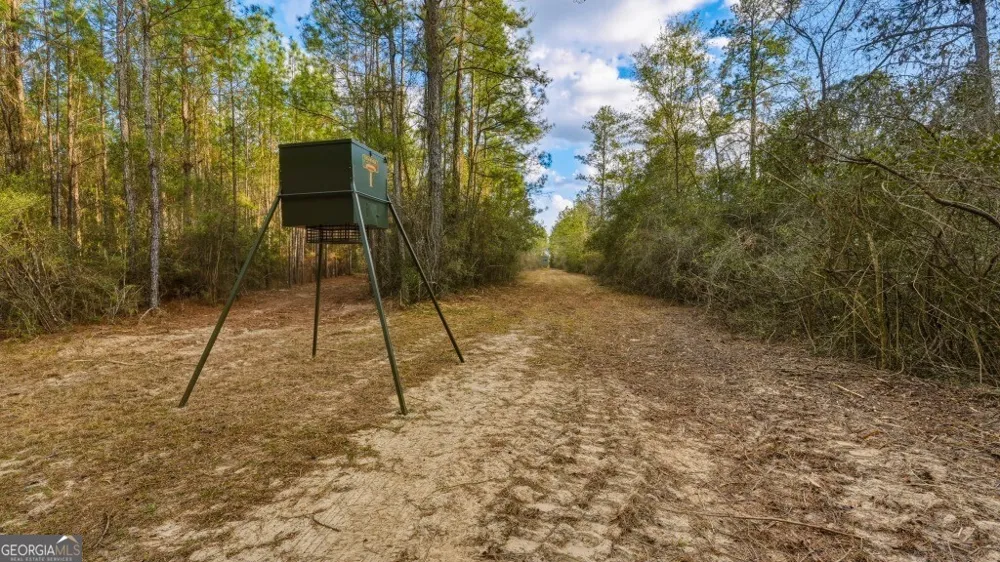 0 Rivers Edge Rd/Hwy 178 Reidsville, GA 30453