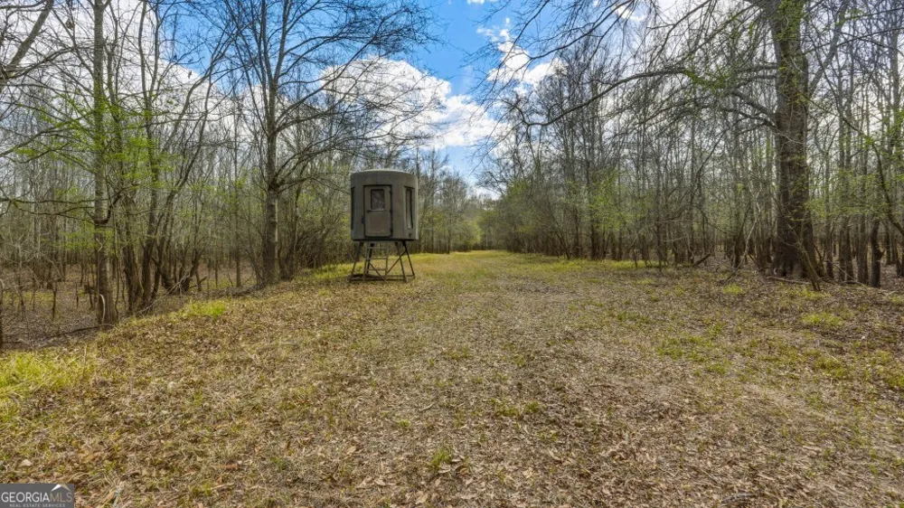 0 Rivers Edge Rd/Hwy 178 Reidsville, GA 30453