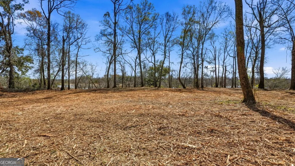 0 Rivers Edge Rd/Hwy 178 Reidsville, GA 30453