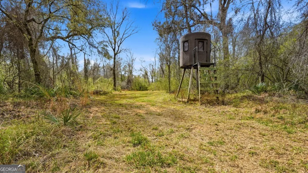 0 Rivers Edge Rd/Hwy 178 Reidsville, GA 30453