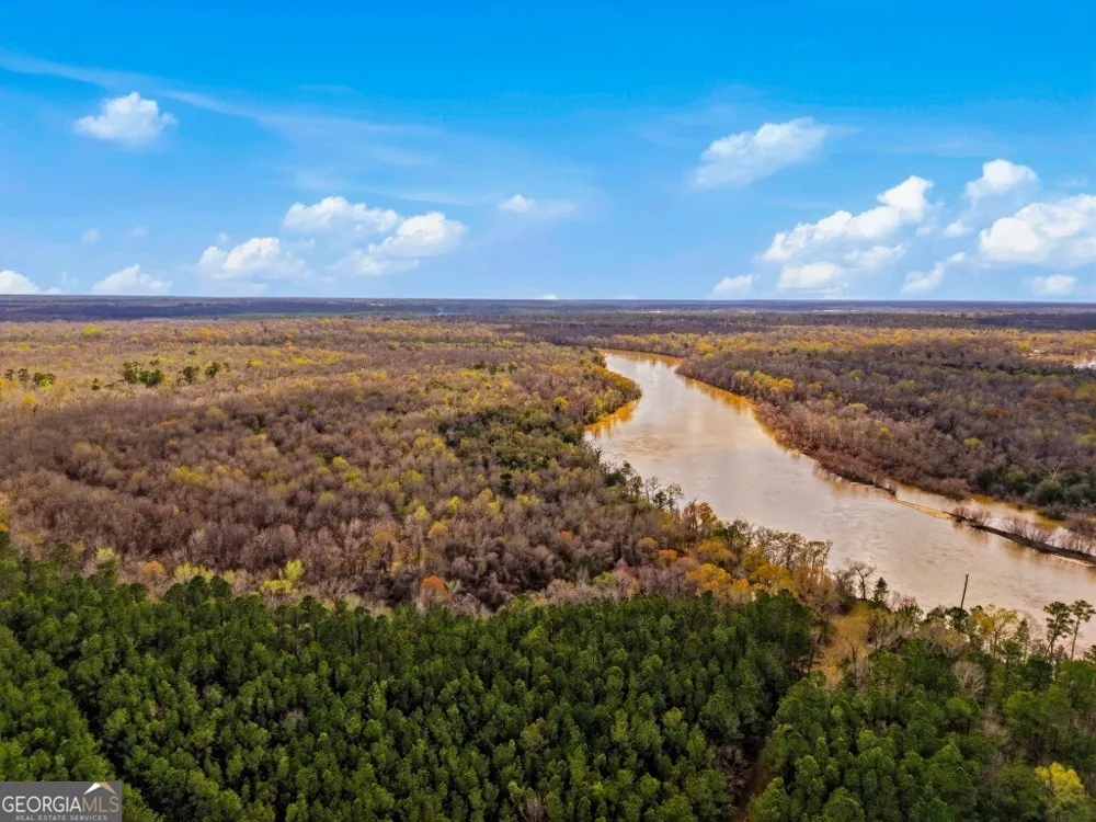 0 Rivers Edge Rd/Hwy 178 Reidsville, GA 30453