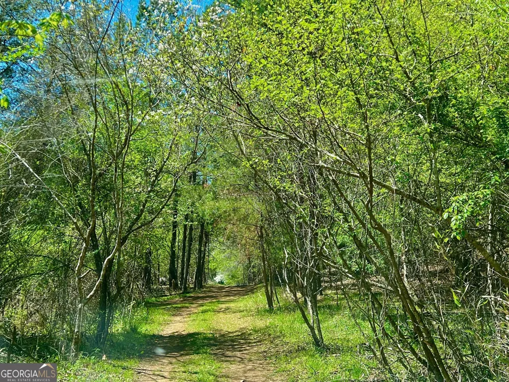 0 Toccoa River Forest Mineral Bluff, GA 30559