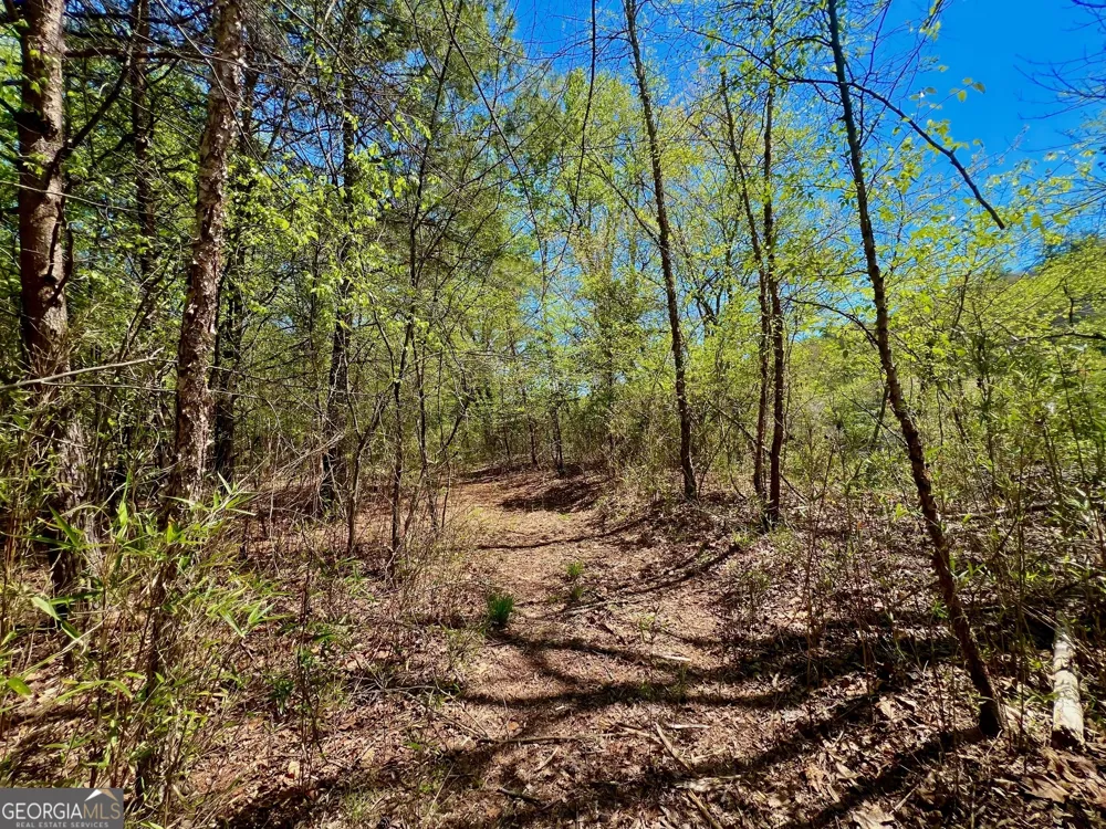0 Toccoa River Forest Mineral Bluff, GA 30559