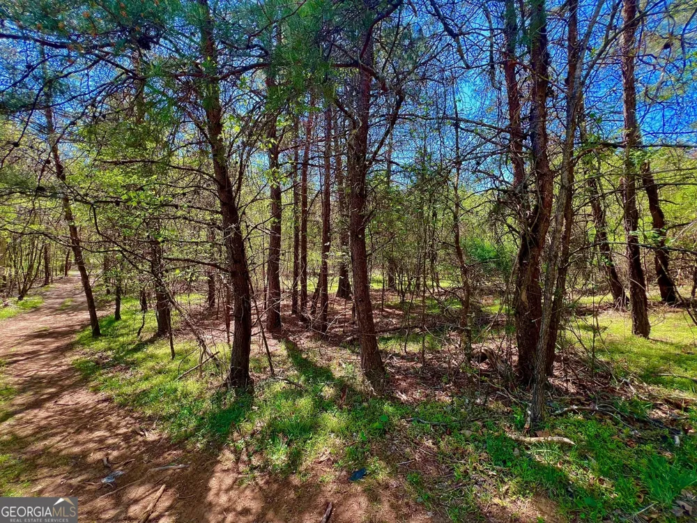 0 Toccoa River Forest Mineral Bluff, GA 30559