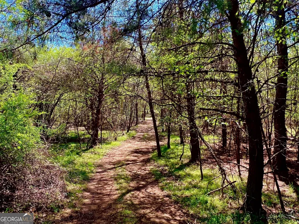 0 Toccoa River Forest Mineral Bluff, GA 30559