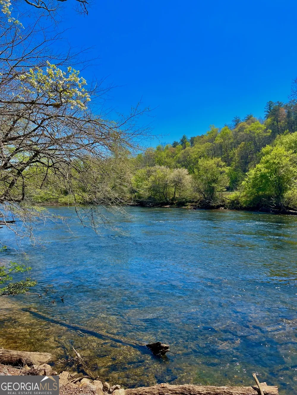 0 Toccoa River Forest Mineral Bluff, GA 30559