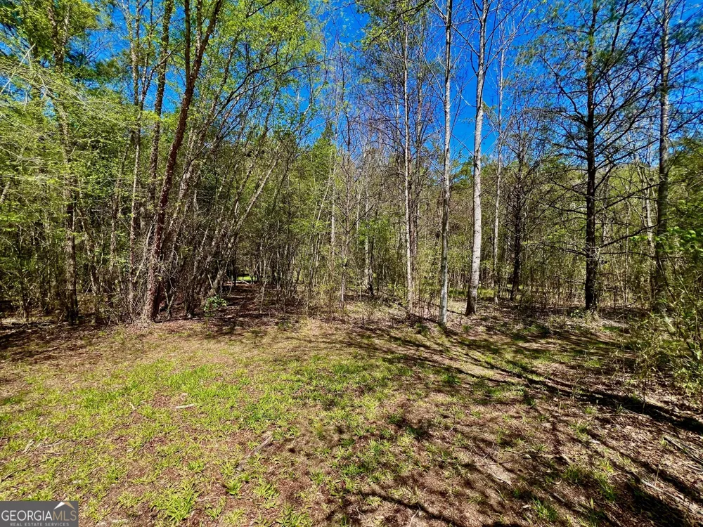 0 Toccoa River Forest Mineral Bluff, GA 30559