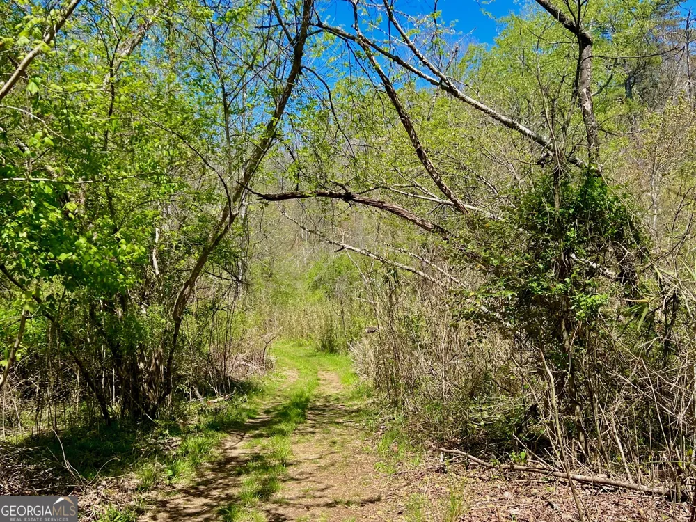 0 Toccoa River Forest Mineral Bluff, GA 30559