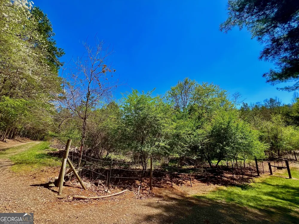 0 Toccoa River Forest Mineral Bluff, GA 30559