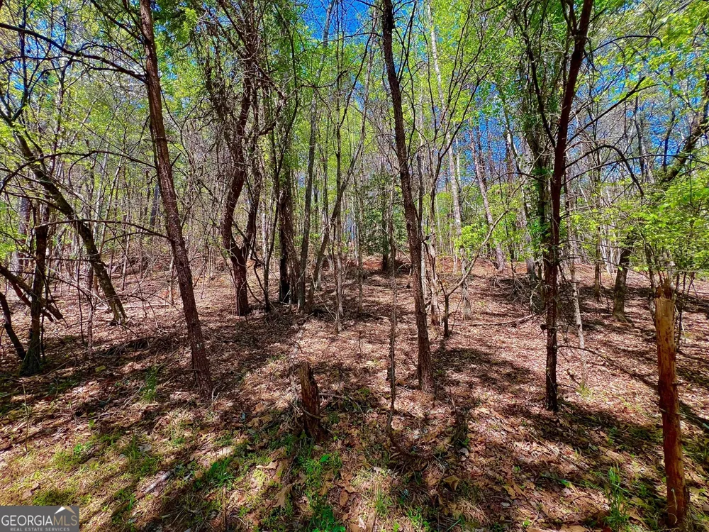 0 Toccoa River Forest Mineral Bluff, GA 30559