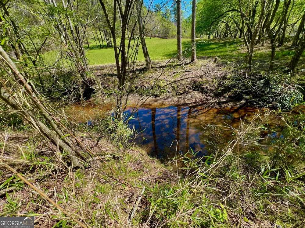 0 Toccoa River Forest Mineral Bluff, GA 30559