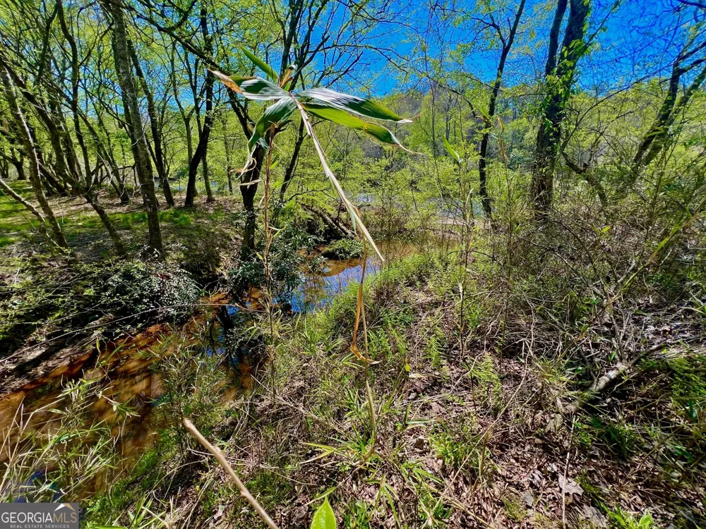 0 Toccoa River Forest Mineral Bluff, GA 30559