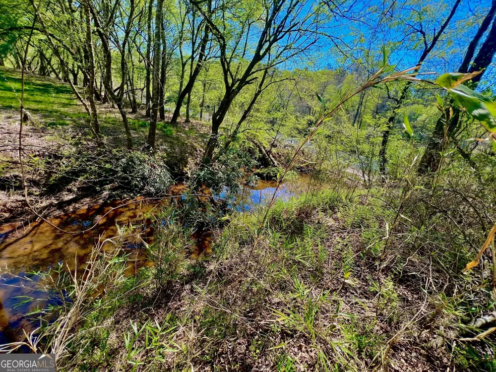 0 Toccoa River Forest Mineral Bluff, GA 30559