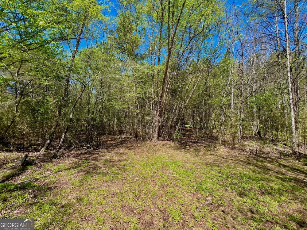 0 Toccoa River Forest Mineral Bluff, GA 30559