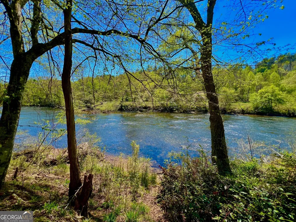 0 Toccoa River Forest Mineral Bluff, GA 30559