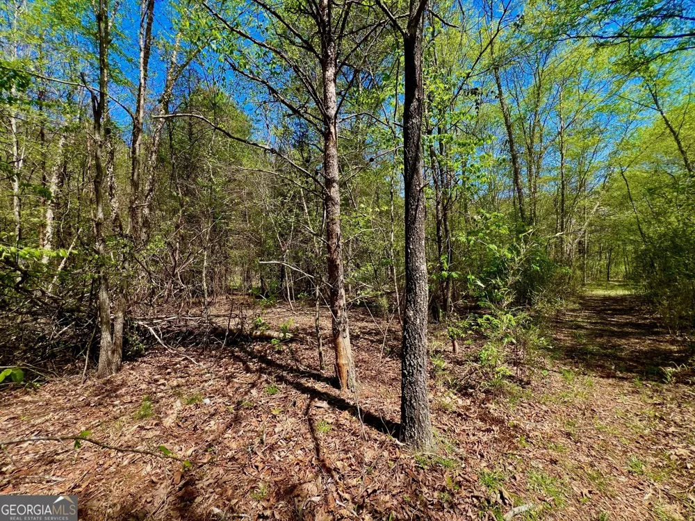 0 Toccoa River Forest Mineral Bluff, GA 30559