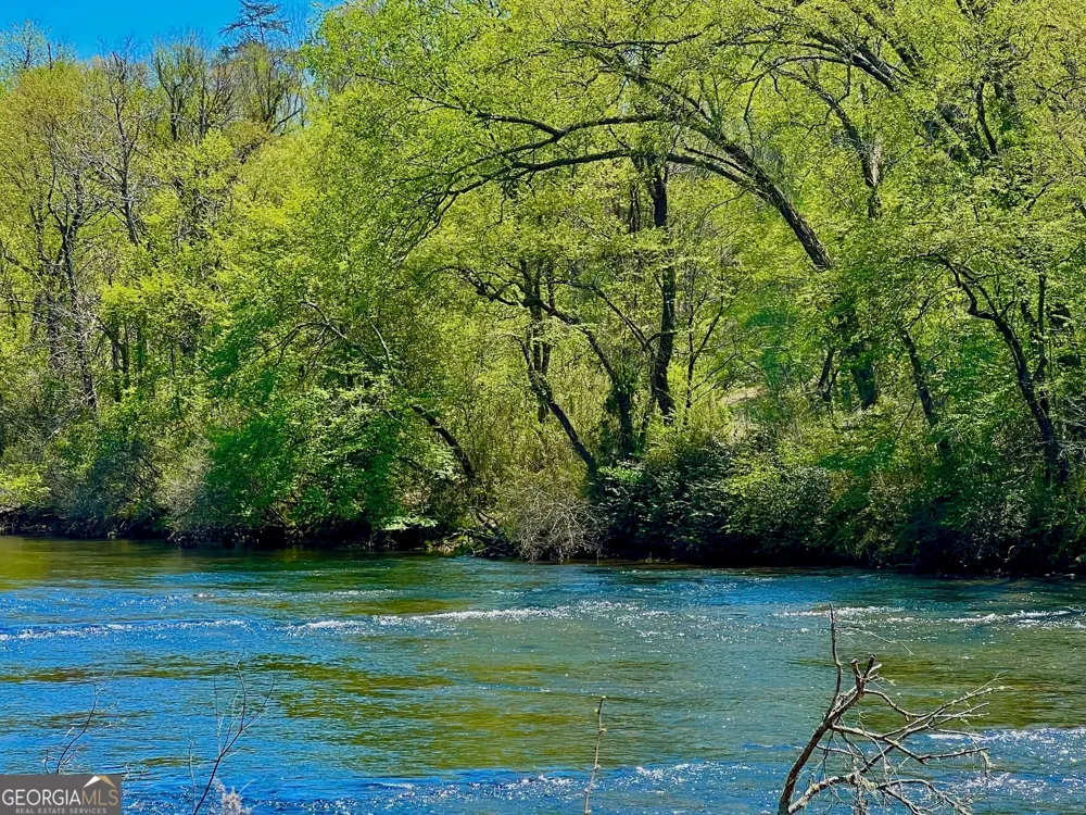 0 Toccoa River Forest Mineral Bluff, GA 30559