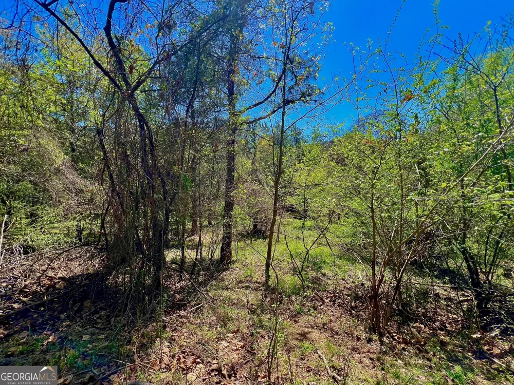 0 Toccoa River Forest Mineral Bluff, GA 30559