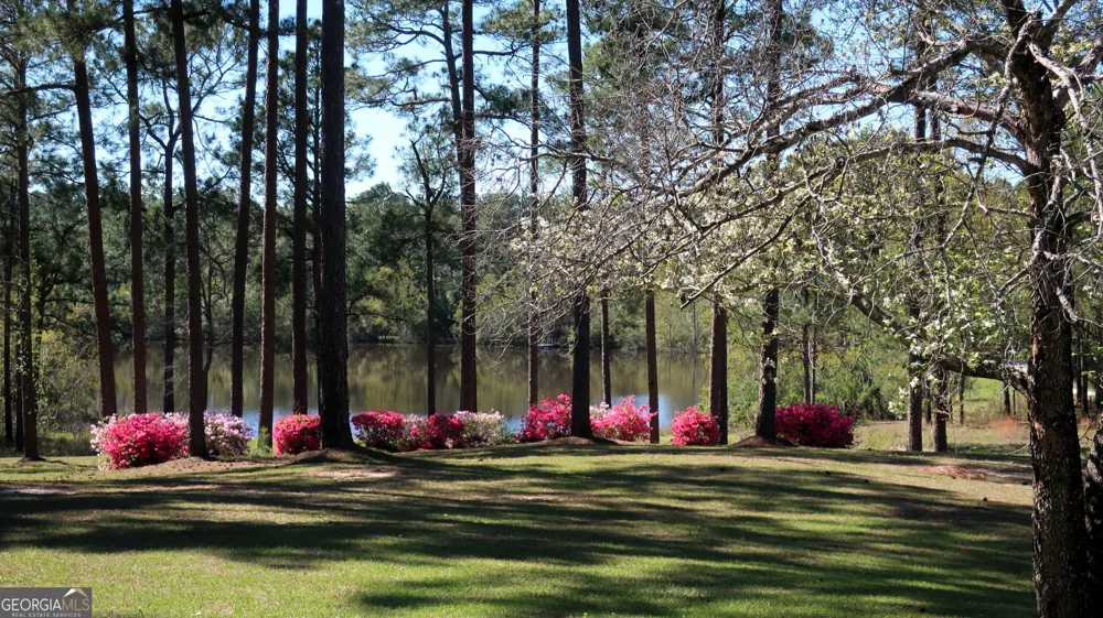 1146 Highway 56 Swainsboro, GA 30401