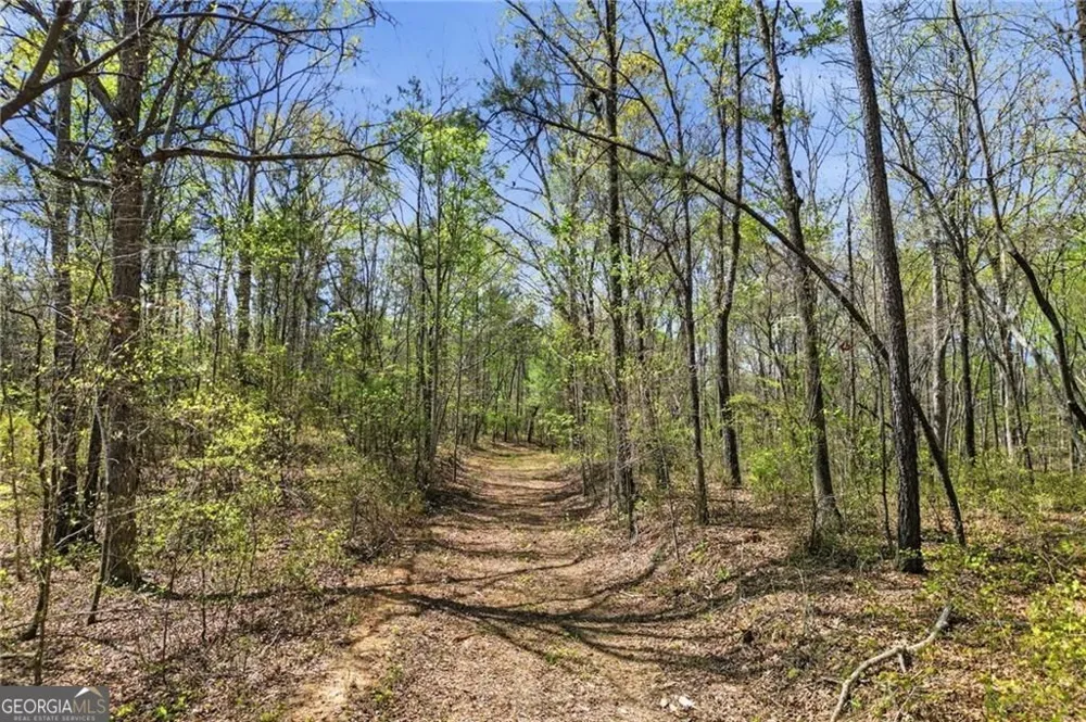 121 Heritage Plantation DR Ball Ground, GA 30107