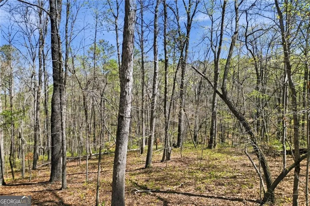 121 Heritage Plantation DR Ball Ground, GA 30107