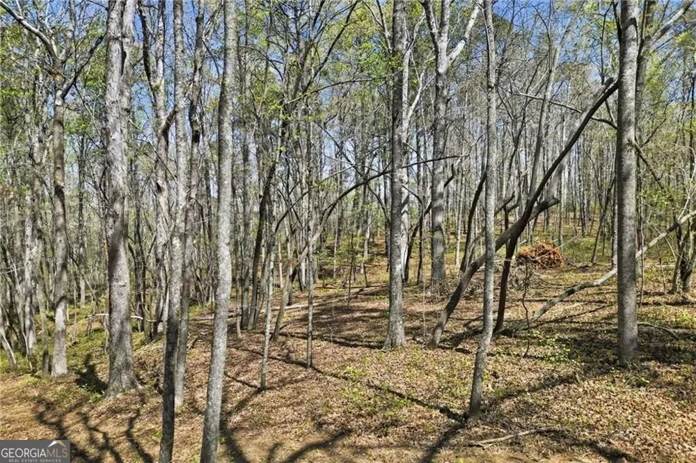 125 Heritage Plantation DR Ball Ground, GA 30107