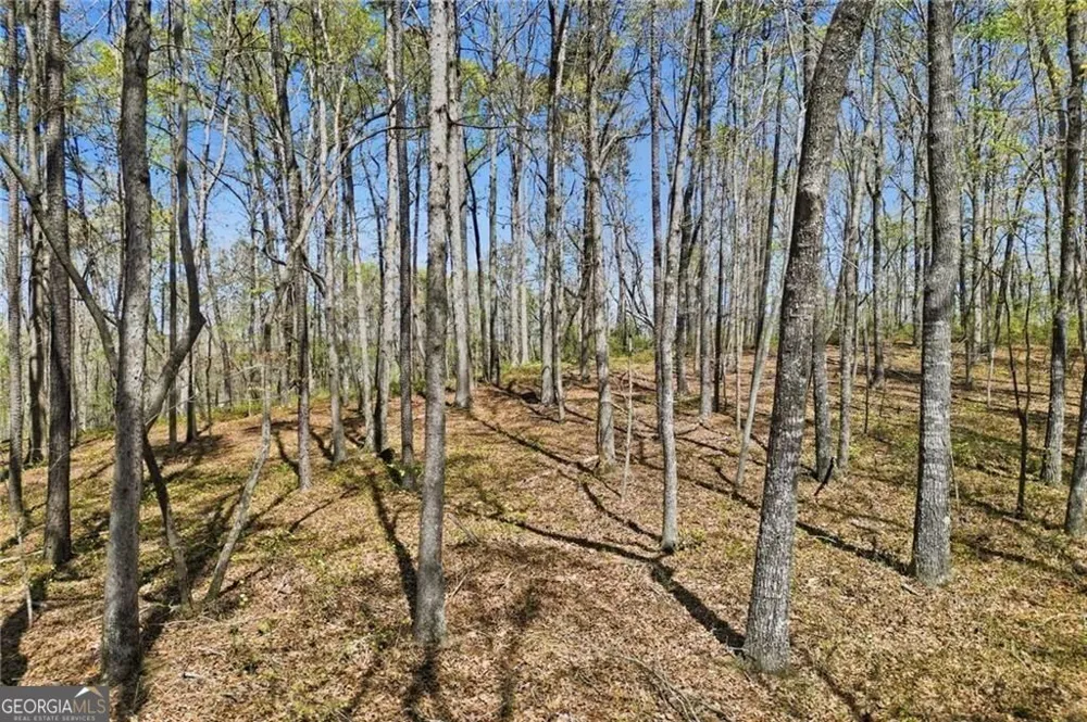 101 Heritage Plantation DR Ball Ground, GA 30107