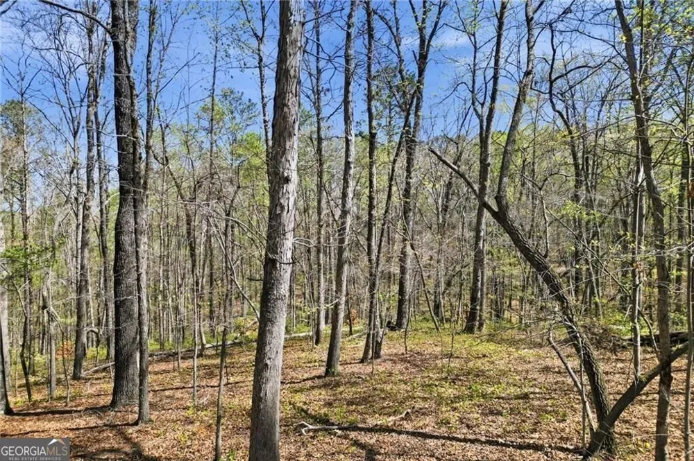 3094 Flatbottom RD Ball Ground, GA 30107