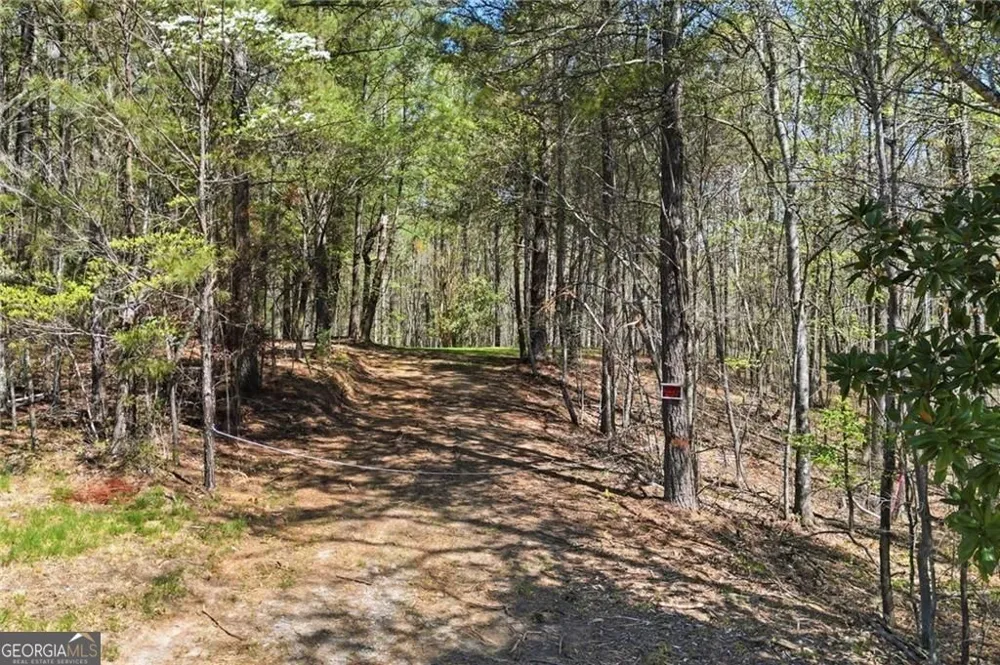 129 Heritage Plantation DR Ball Ground, GA 30107