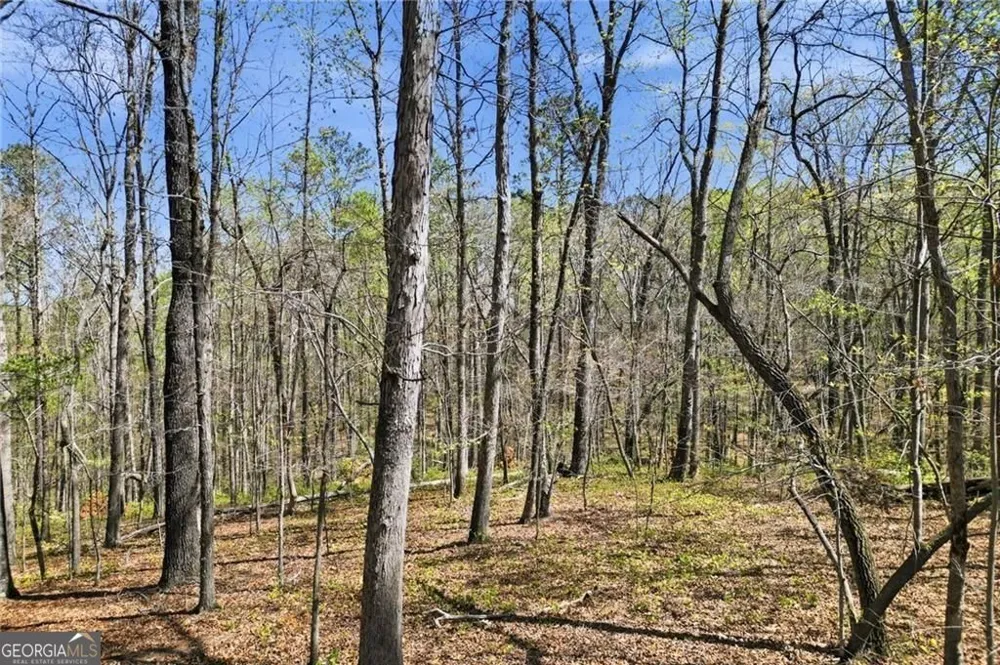129 Heritage Plantation DR Ball Ground, GA 30107
